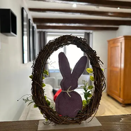 Apartament Bienvenue Au Coeur D Alsace-centre -3 Etoiles - *