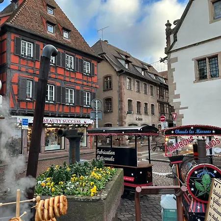 Bienvenue Au Coeur D Alsace-centre -3 Etoiles - アパート