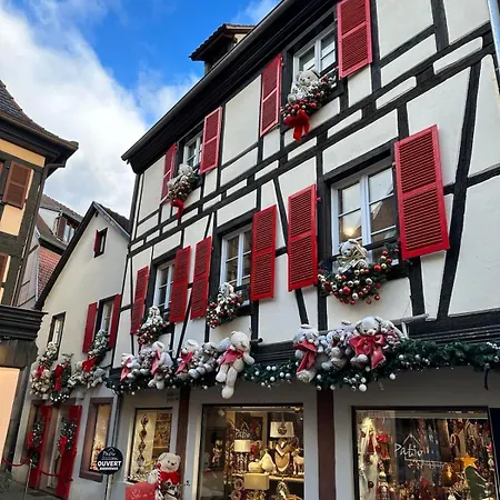 Bienvenue Au Coeur D Alsace-centre -3 Etoiles - * Obernai