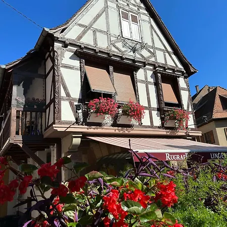 Apartament Bienvenue Au Coeur D Alsace-centre -3 Etoiles - Obernai