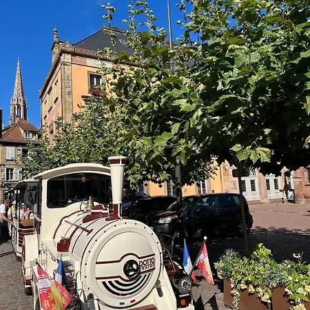 Bienvenue Au Coeur D Alsace-centre -3 Etoiles - オベルネ